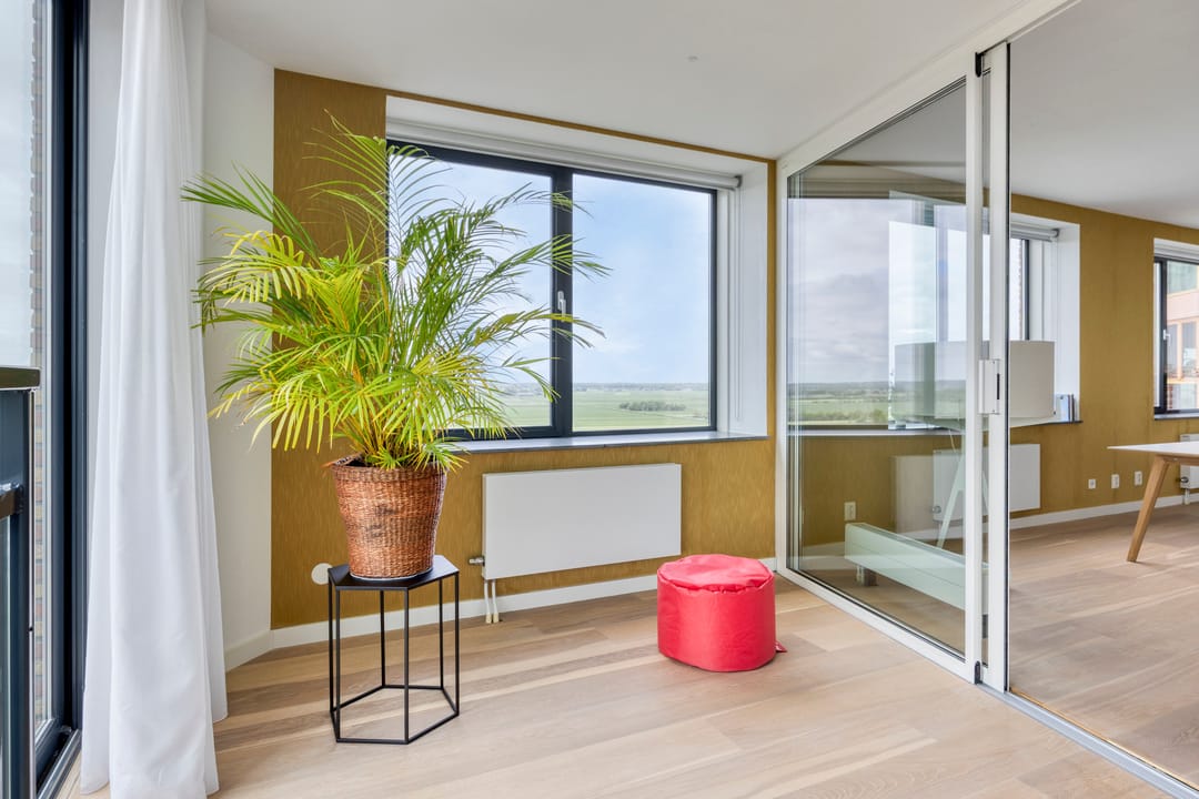 Foto 11 van Forel 224