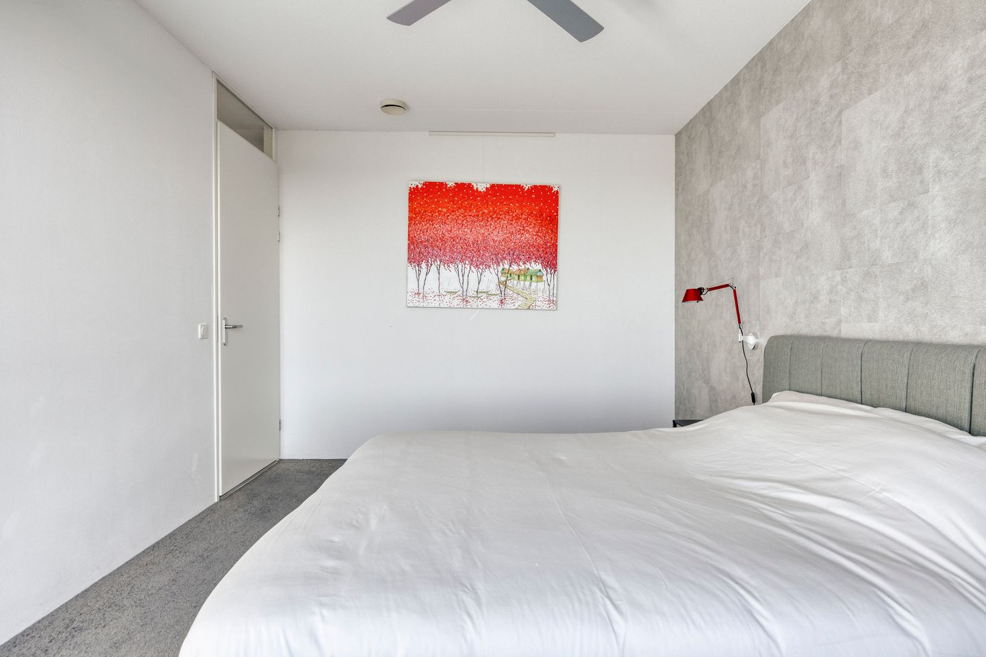 Foto 14 van Forel 224