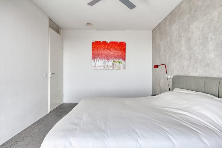 Foto 14 van Forel 224