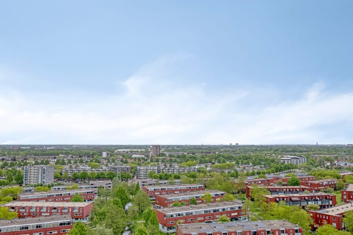 Foto 20 van Forel 224