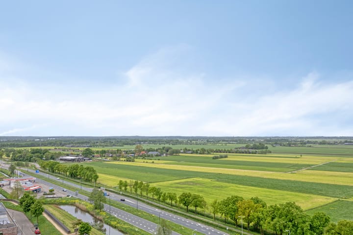 Foto 21 van Forel 224