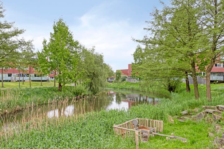 Foto 30 van Forel 224