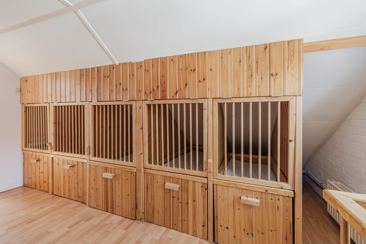 Foto 60 van De Vos van Steenwijklaan 13