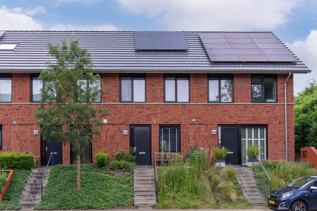 Foto 1 van Zanglijster 101