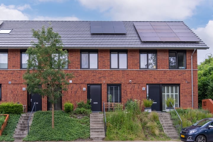 Foto 1 van Zanglijster 101