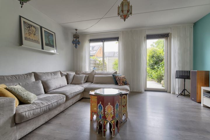 Foto 8 van Zanglijster 101