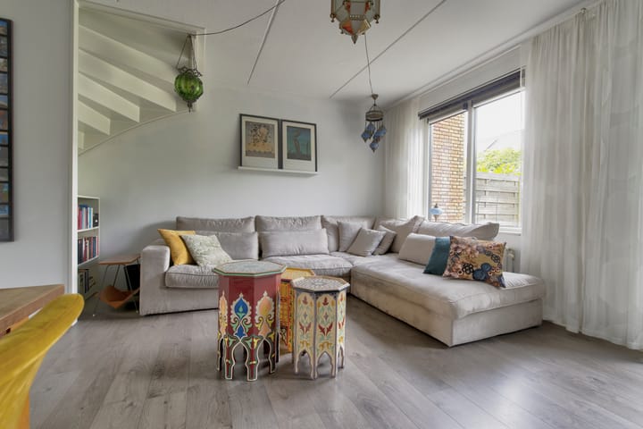 Foto 9 van Zanglijster 101