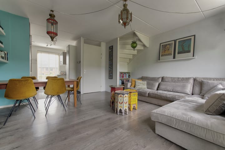 Foto 10 van Zanglijster 101