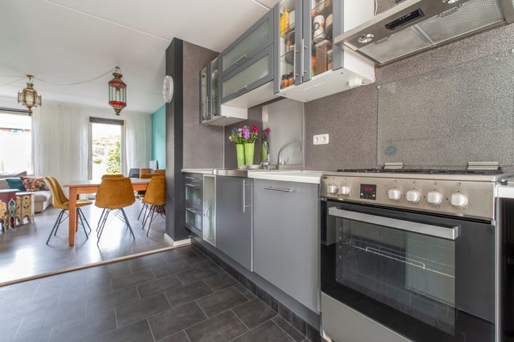 Foto 14 van Zanglijster 101