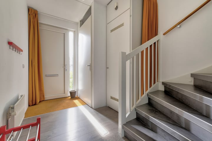 Foto 15 van Zanglijster 101