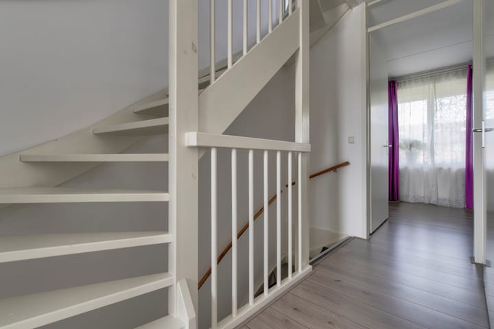 Foto 16 van Zanglijster 101