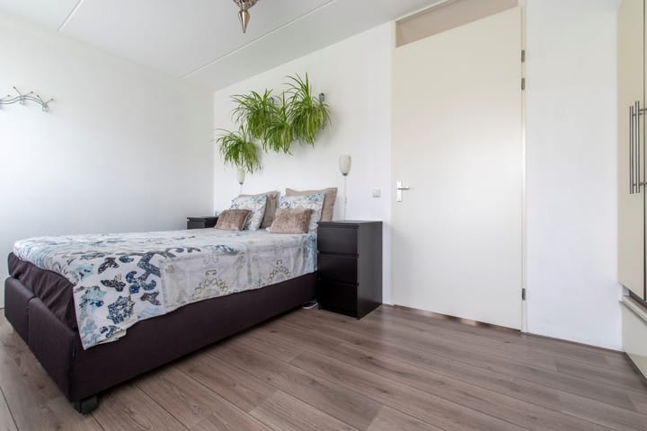 Foto 18 van Zanglijster 101