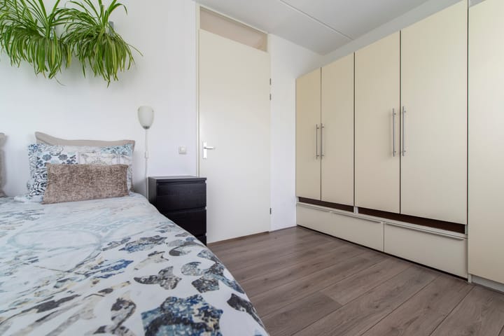 Foto 19 van Zanglijster 101