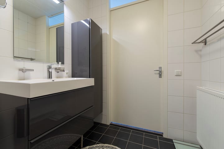 Foto 23 van Zanglijster 101