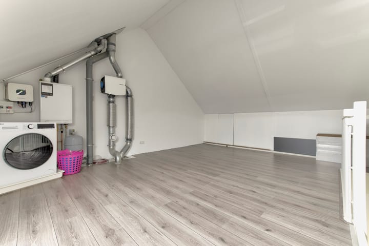 Foto 26 van Zanglijster 101