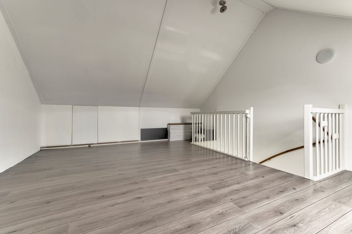 Foto 27 van Zanglijster 101