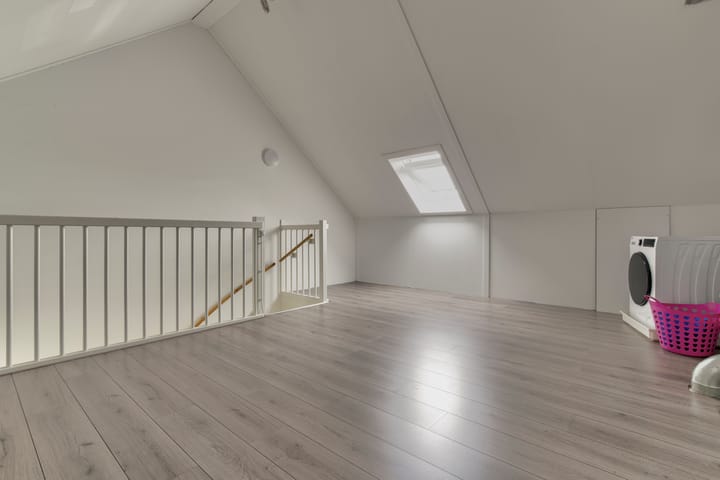 Foto 28 van Zanglijster 101