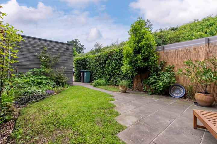 Foto 30 van Zanglijster 101