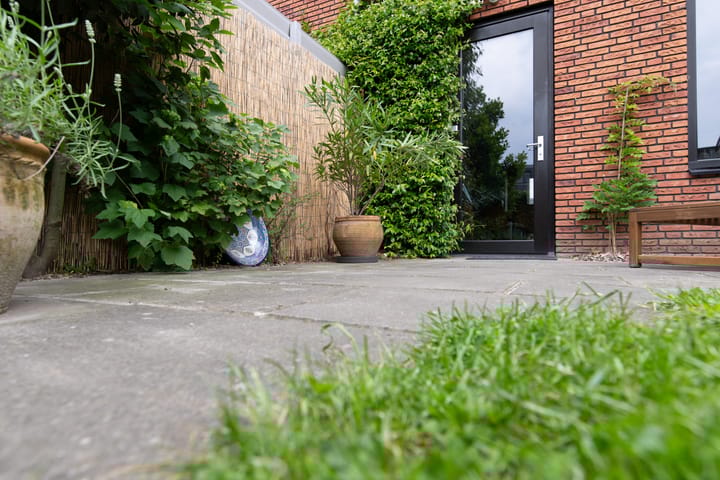 Foto 33 van Zanglijster 101