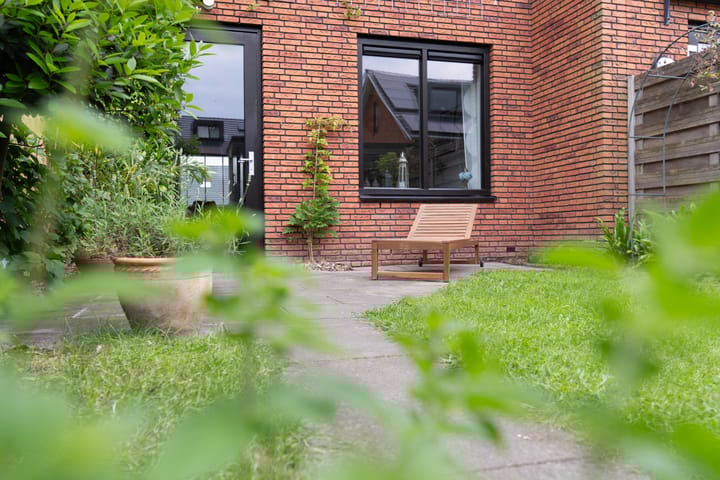 Foto 34 van Zanglijster 101