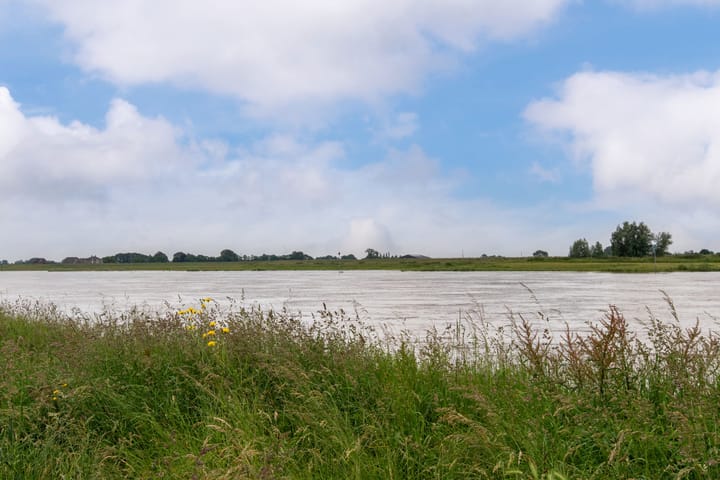 Foto 36 van Zanglijster 101