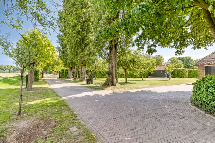 Foto 50 van Het Wuiten 3