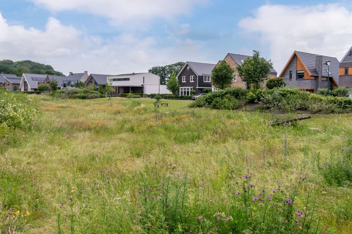 Foto 37 van Zanglijster 101