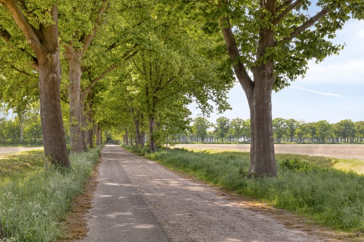 Foto 51 van Het Wuiten 3