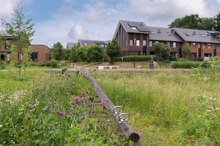 Foto 38 van Zanglijster 101