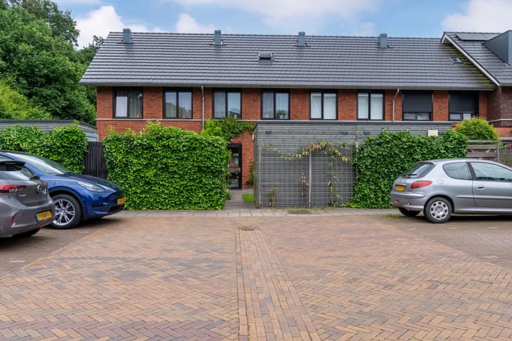 Foto 39 van Zanglijster 101