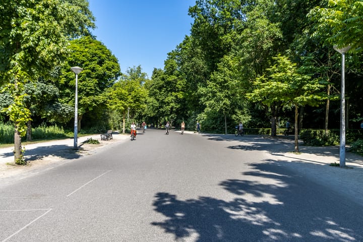 Foto 24 van Theophile de Bockstraat 61-3