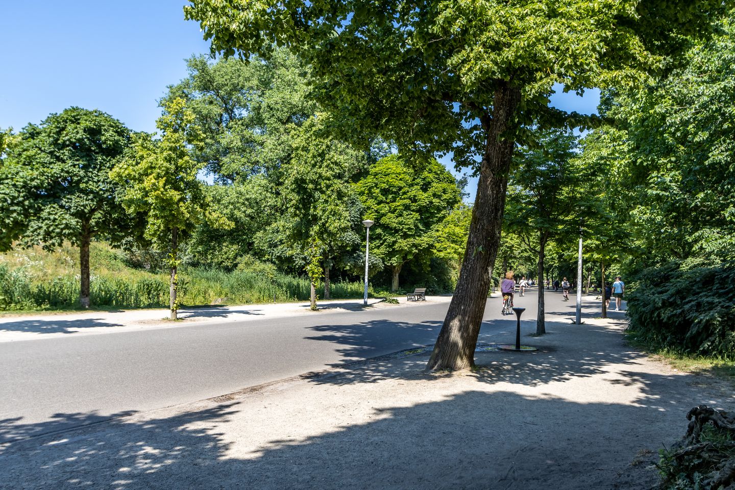 Foto 25 van Theophile de Bockstraat 61-3