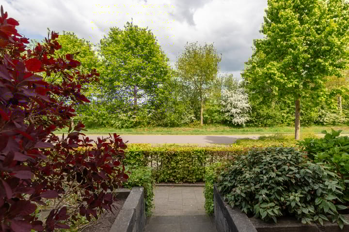 Foto 53 van De Heerlijkheid 10