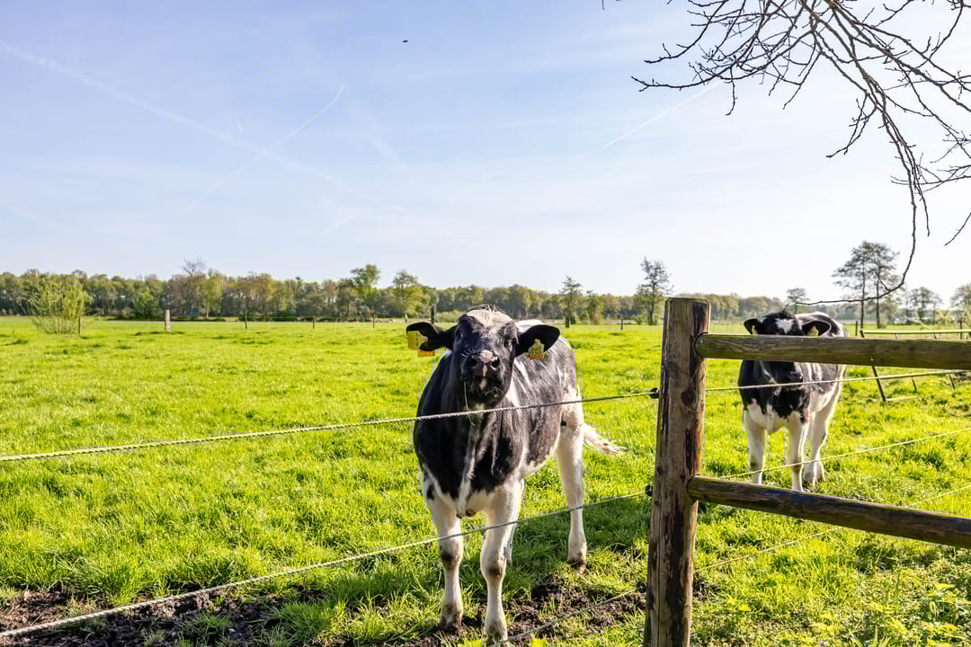 Foto 67 van Schansweg 10