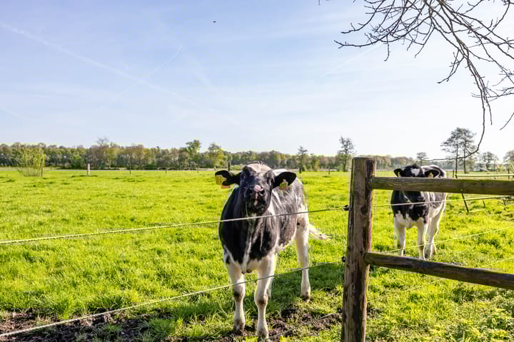 Foto 67 van Schansweg 10