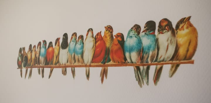 Foto 39 van Anjelierstraat 36