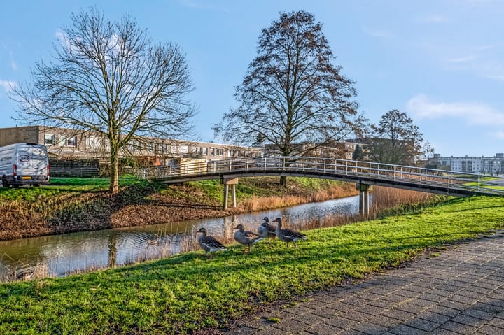 Foto 21 van Otis Reddingplein 89