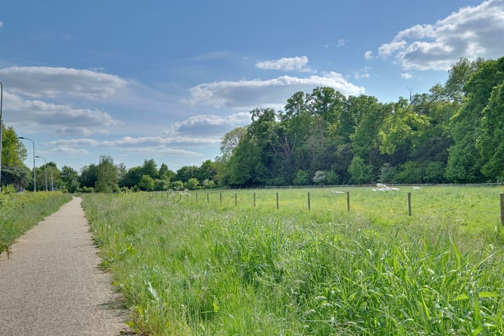 Foto 36 van Babberichseweg 15