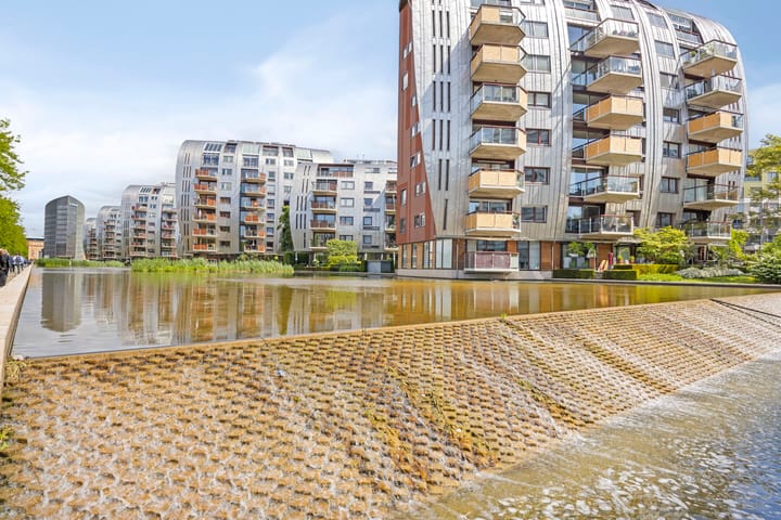 Foto 49 van Spiegeltuin 6