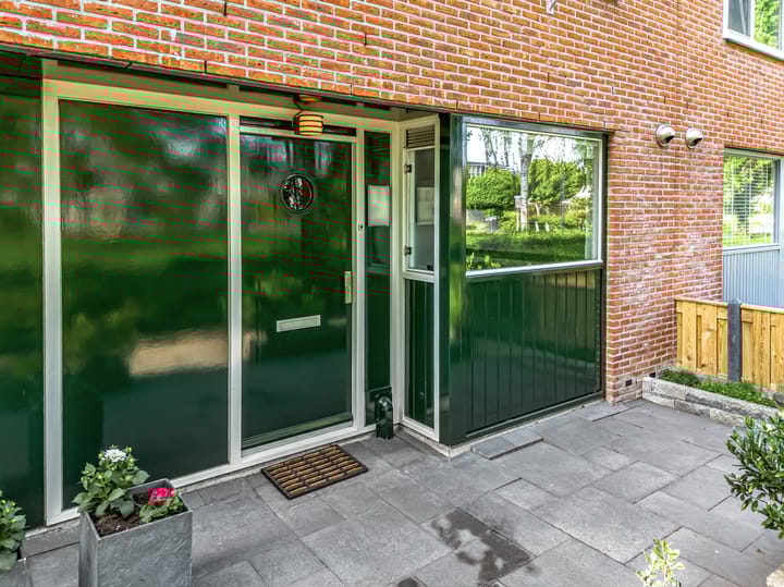 Foto 2 van Bruine Lijster 11