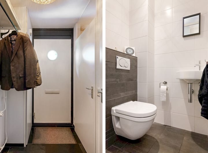 Foto 3 van Bruine Lijster 11