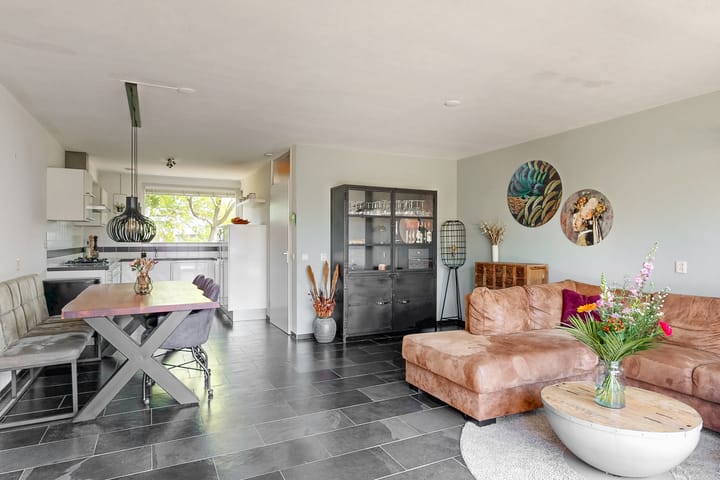 Foto 4 van Bruine Lijster 11