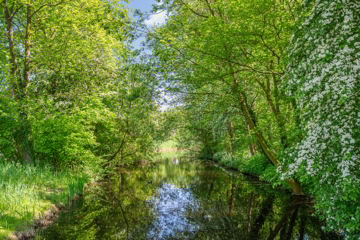 Foto 37 van Populierendreef 1