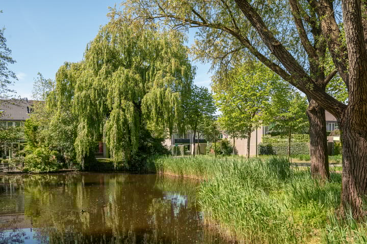 Foto 38 van Populierendreef 1