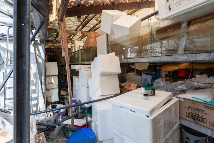 Photo 32 of Noordvliet 157