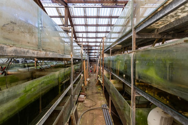 Photo 38 of Noordvliet 157