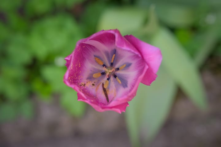 Foto 24 van De Taling 24