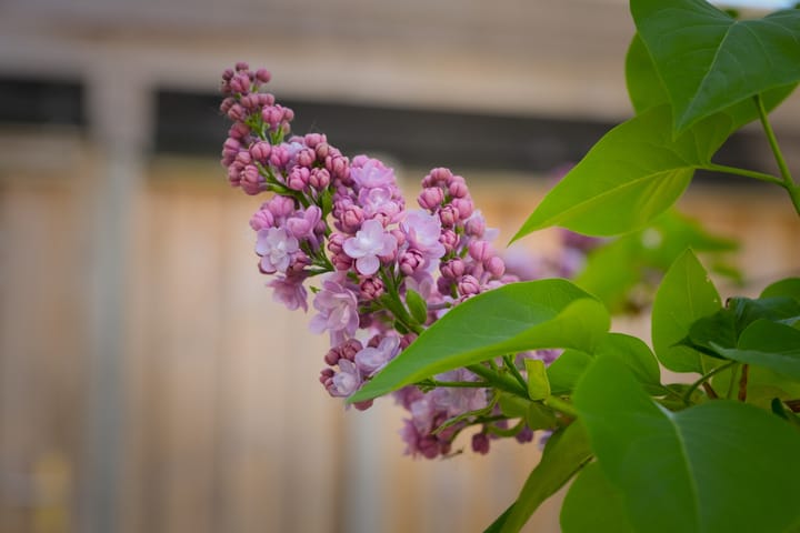 Foto 25 van De Taling 24