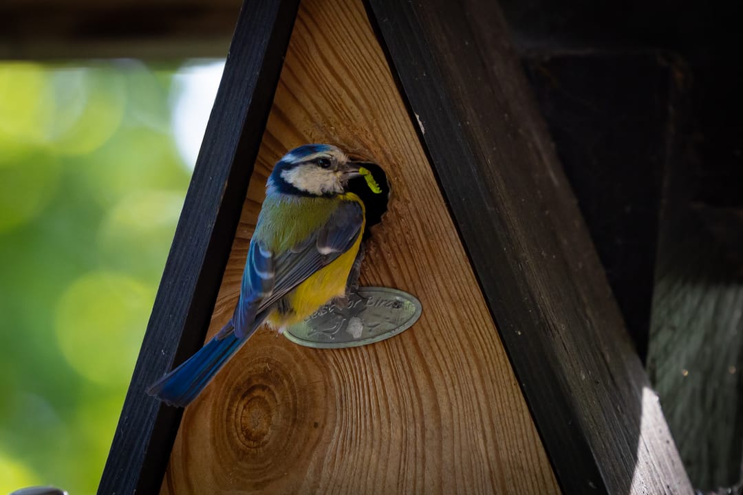 Foto 22 van Houtvester Jansenweg 2-84