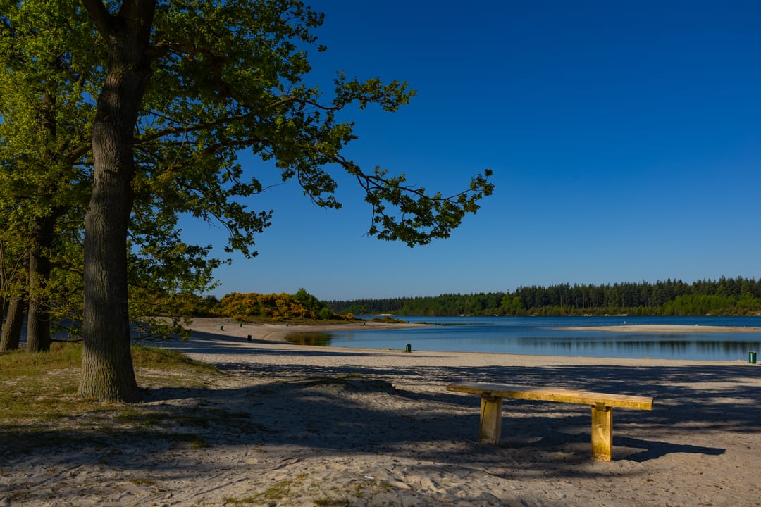 Foto 26 van Houtvester Jansenweg 2-84